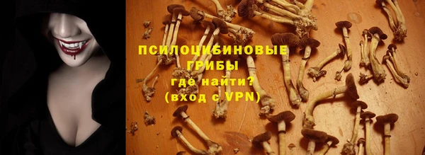 прущий лед Аркадак