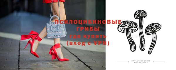 прущий лед Аркадак