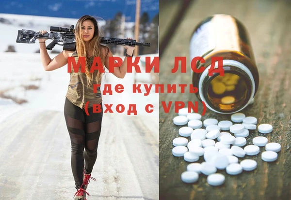 индика Медногорск