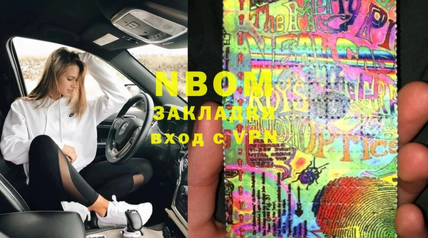 индика Медногорск